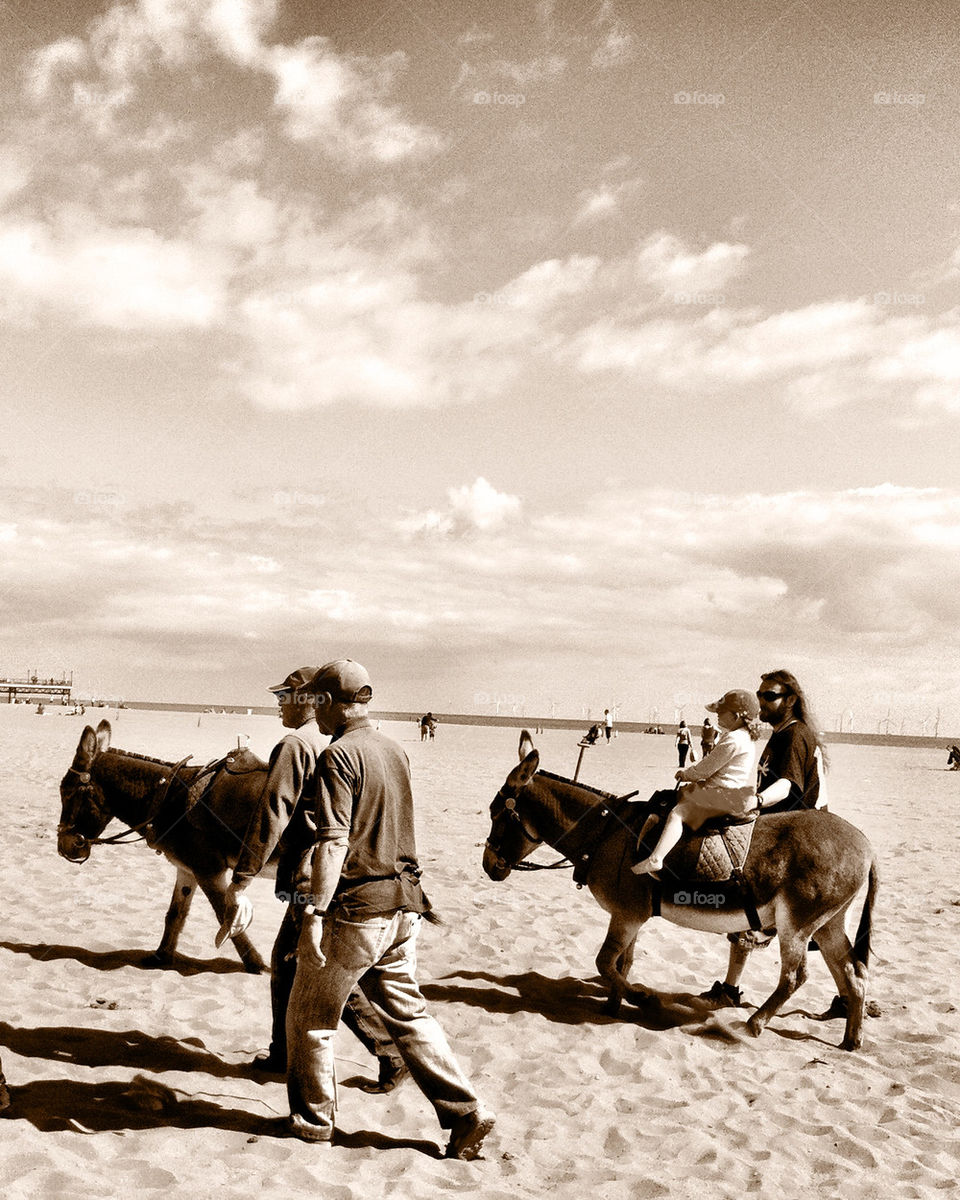 Donkey ride on the beach