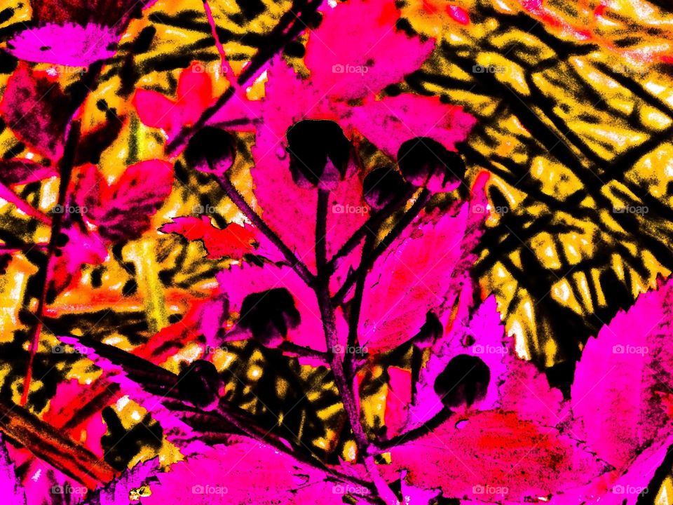 abstract plant