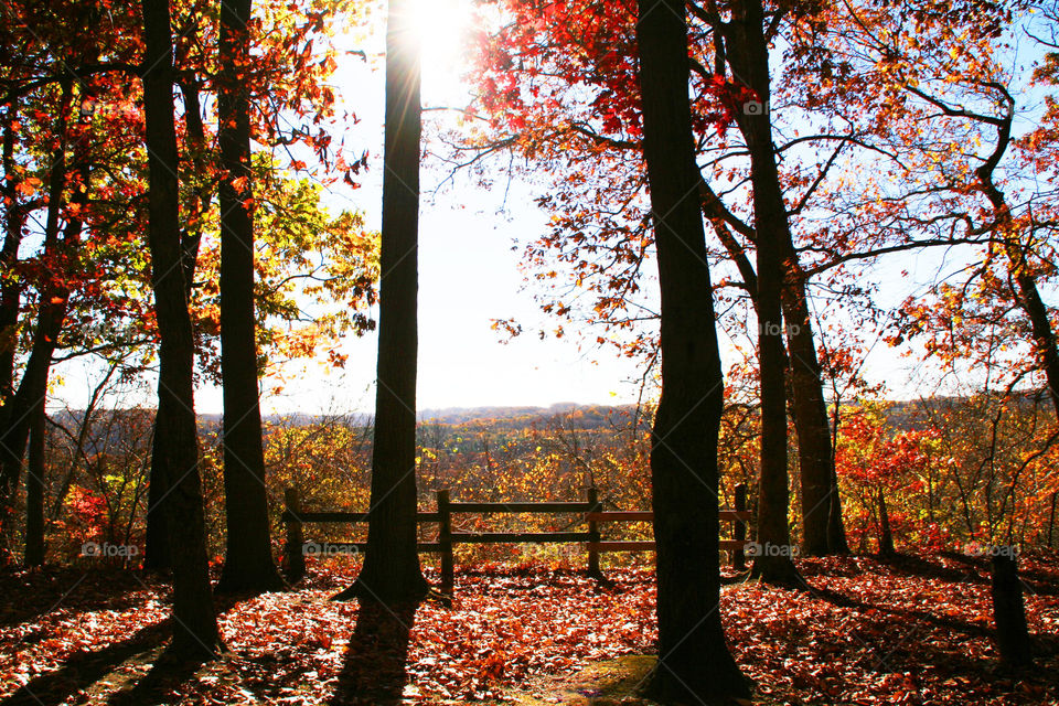 Autumn in Ohio ( Series )