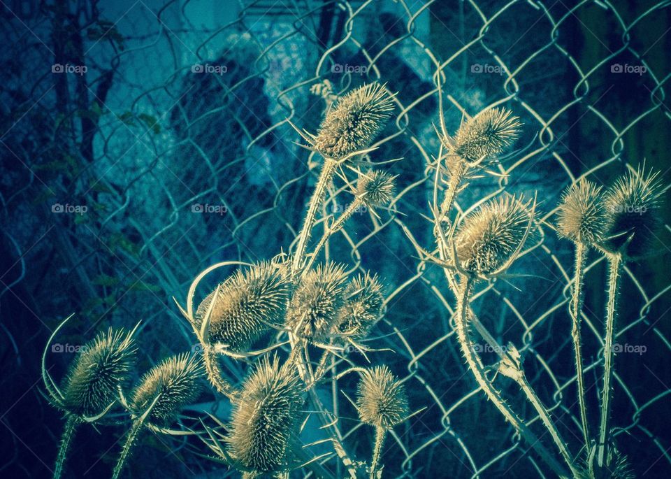 autumn old grandparents parents by juliar