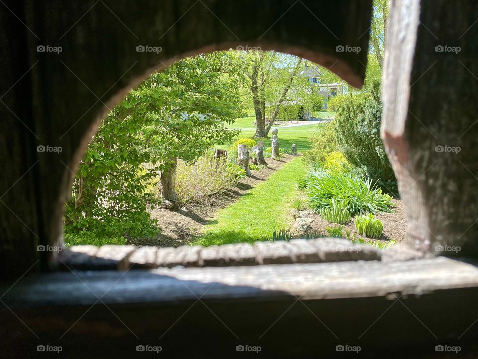 The view of a garden from a semicircular hole in a wood door