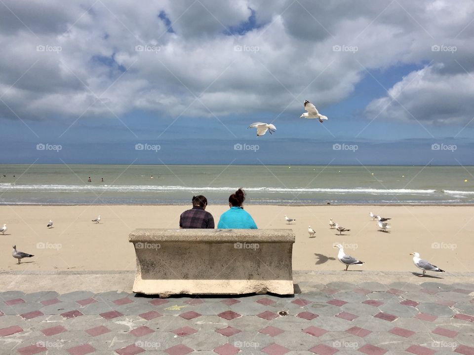 People and gulls