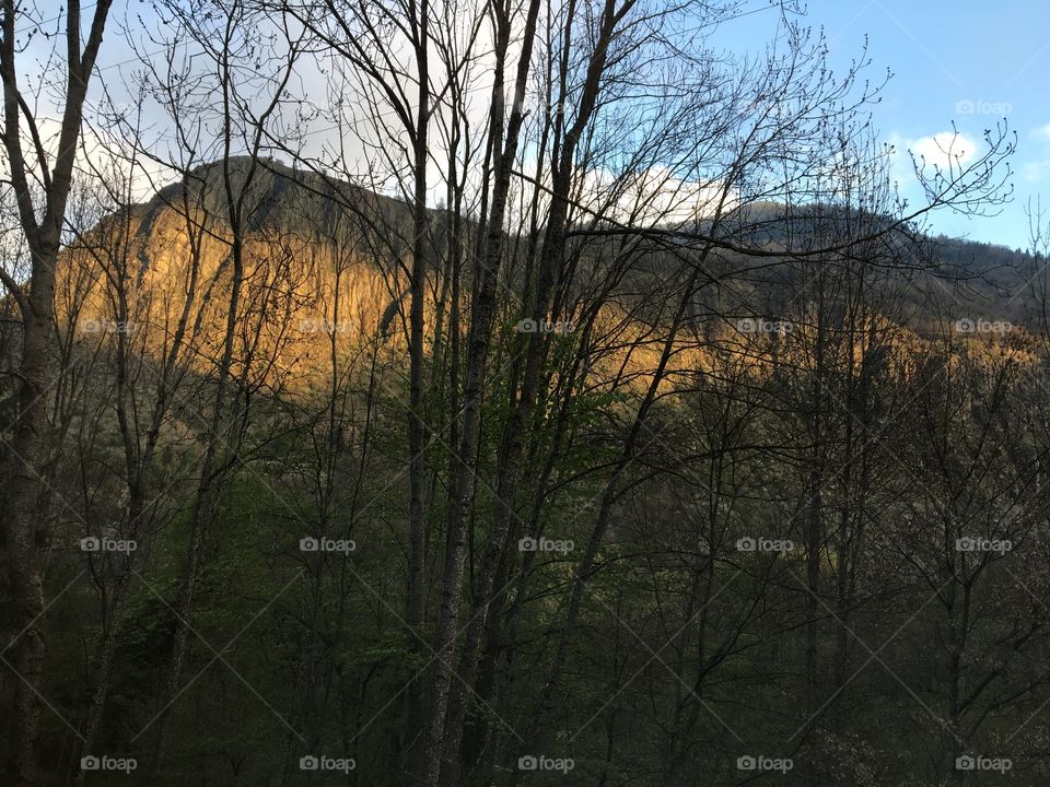 First Rays is the Day