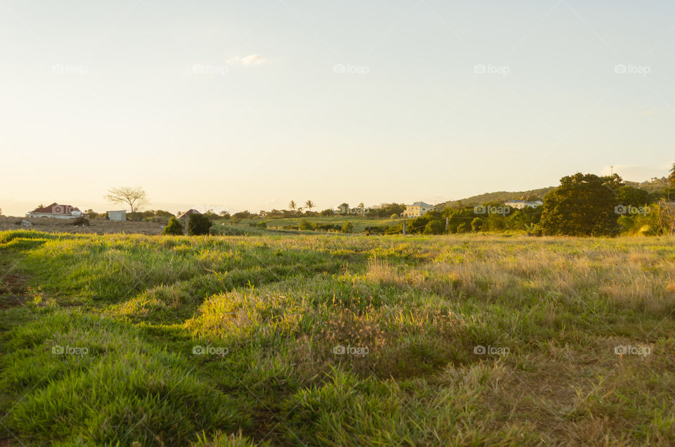 Sunset On Grassy Landscape