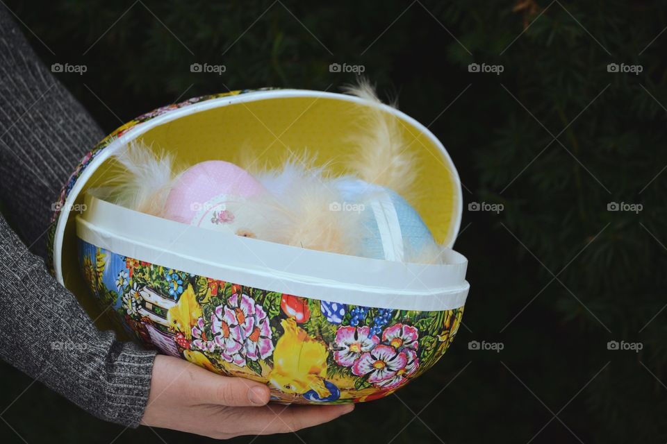 Food, No Person, Desktop, Bowl, People