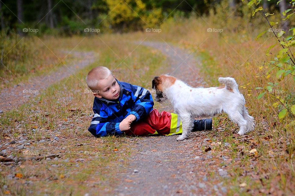 Boy and a dog in the forest