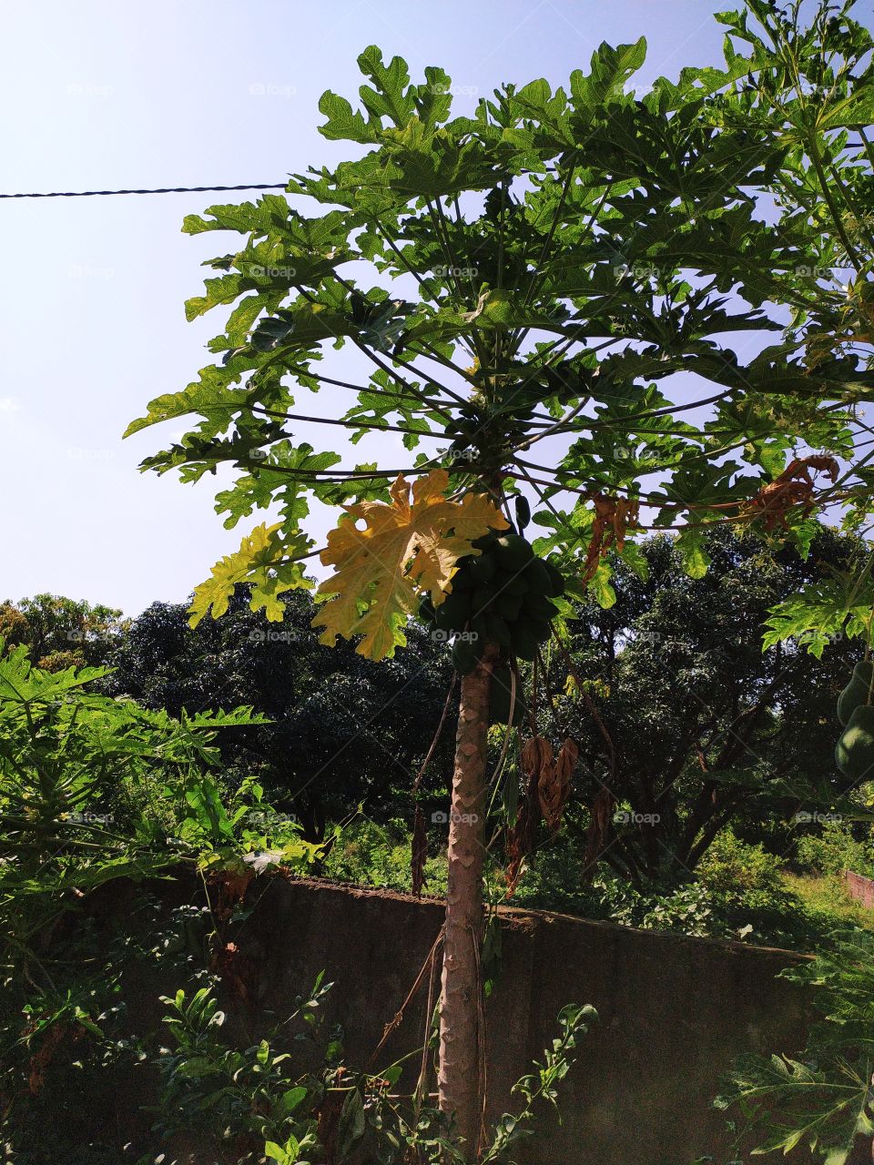 Autumn is taking hold at a brisk pace. A beautiful autumn afternoon in a calm. cool countryside