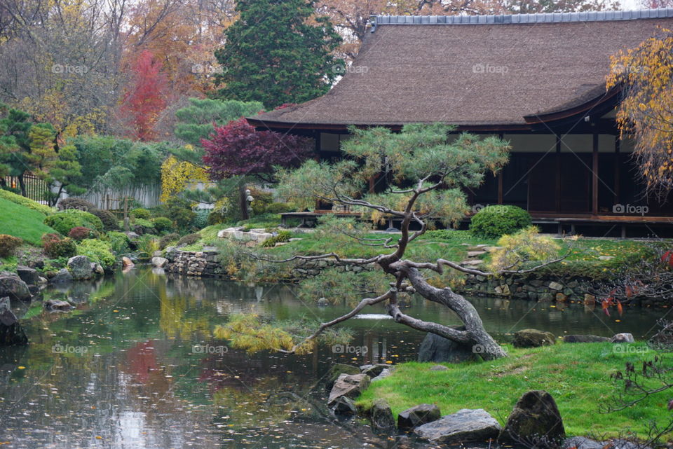 Chinese garden