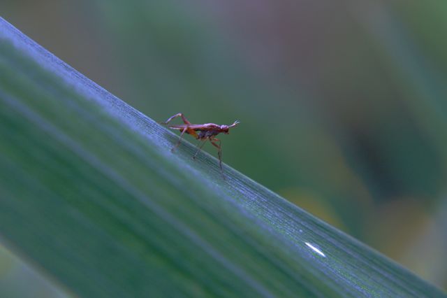 The world in macro