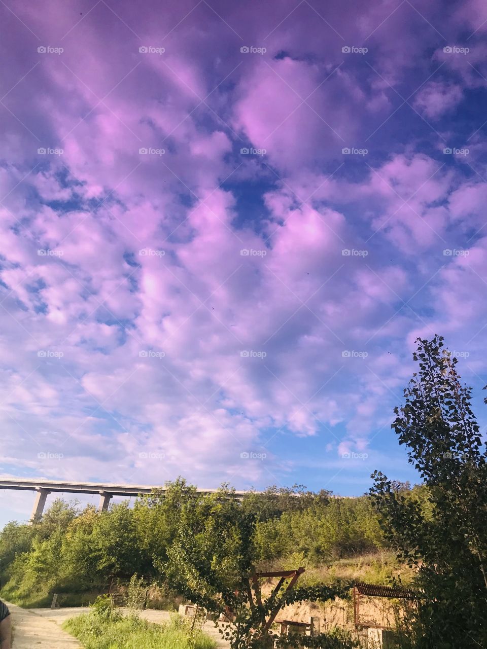 Through Sunglasses 2