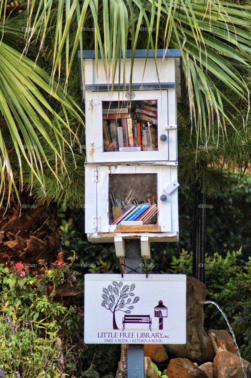 Little free library 