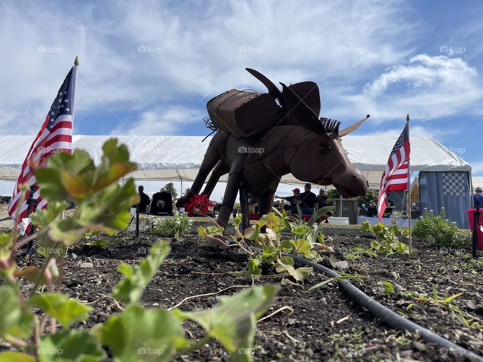 Memorial Day ceremony 1