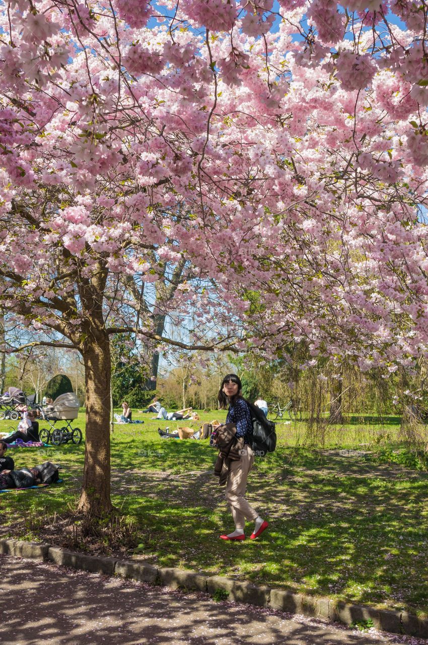 Pink park