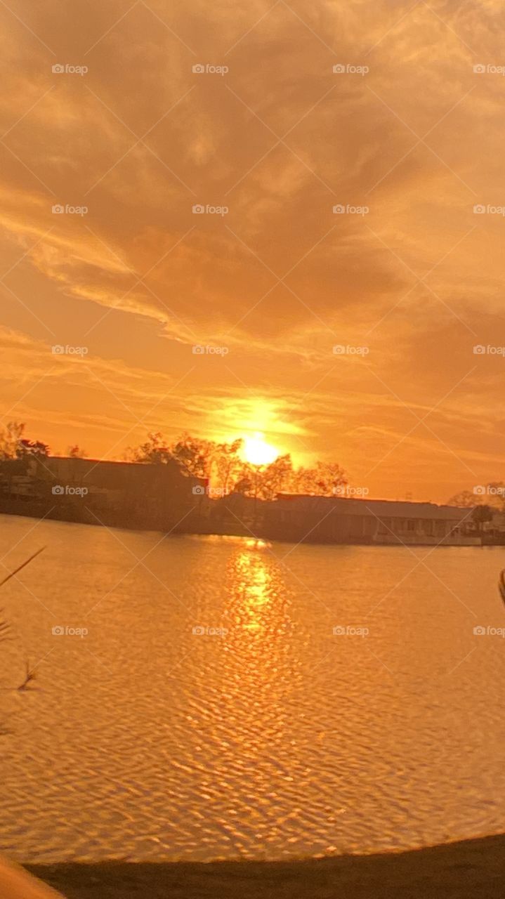 First photo of the Day after taking this Pic I knew that the End of day is going to be Wild