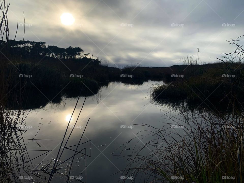 Editor’s Choice: Photo Of the Week