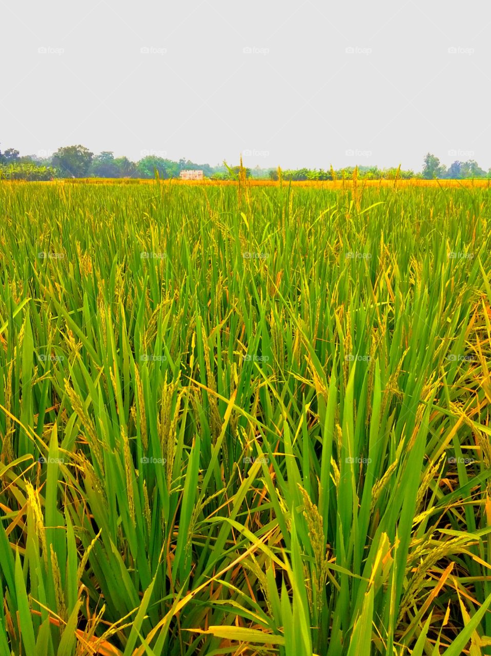 beautiful rural areas