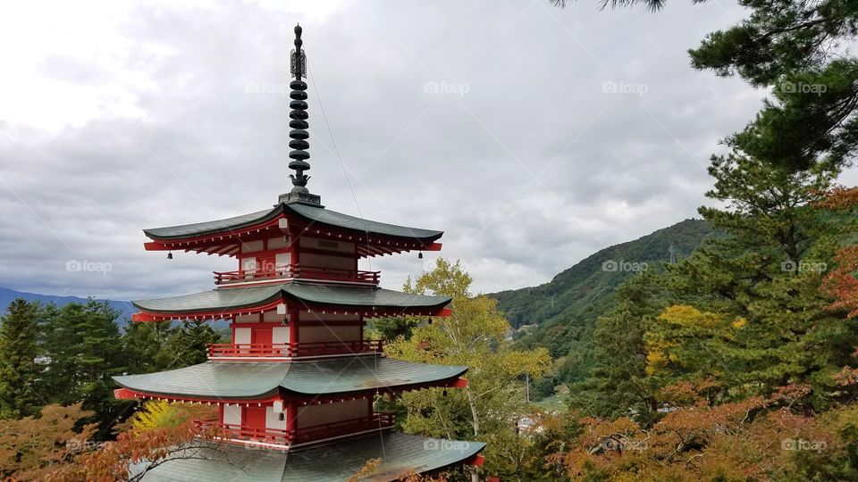 Japanese pagoda