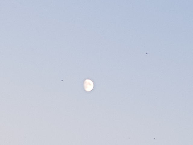 moon in the sky