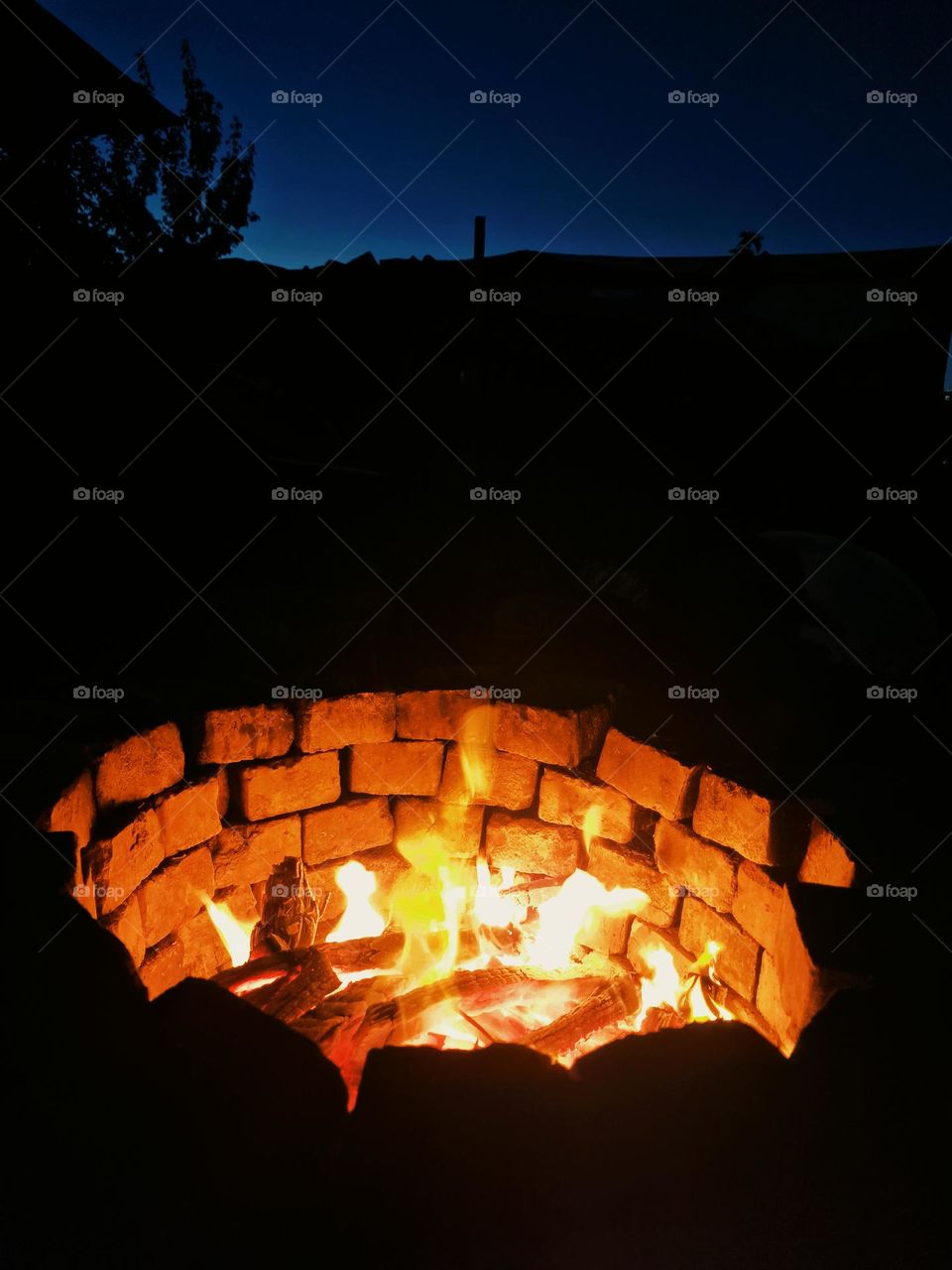 campfire in the night light