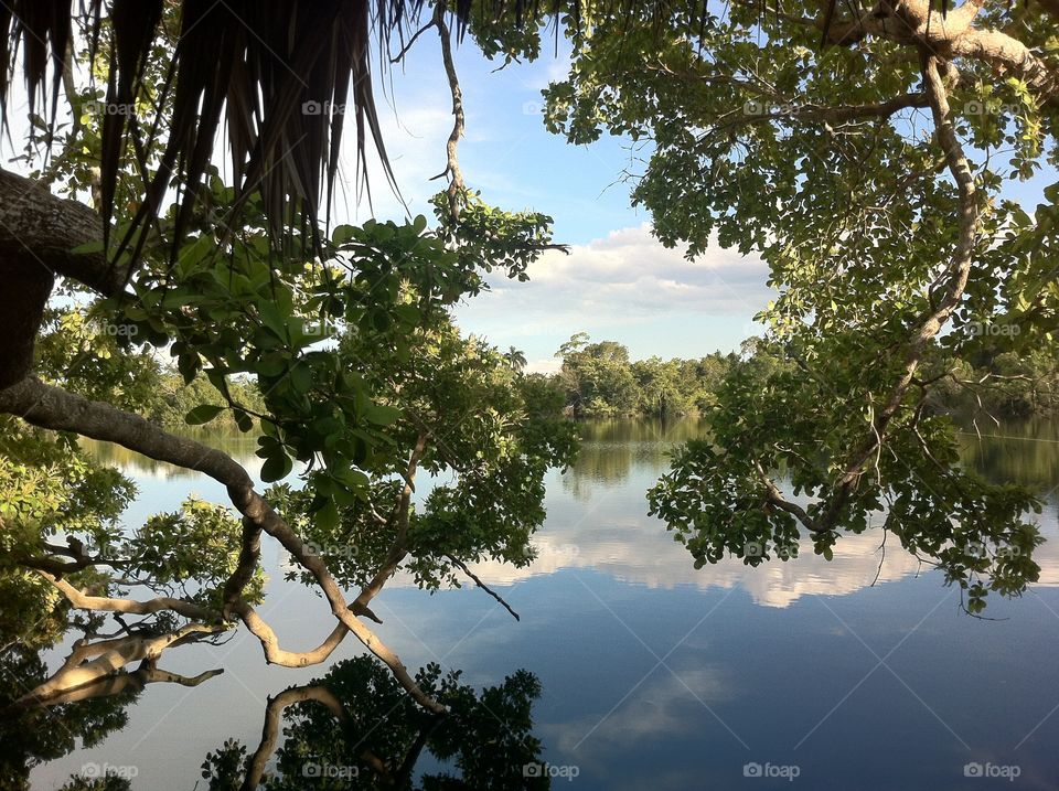Lake, water, cenote, jungle, vacations, hollidays, mexico, cenote azul, sky, clouds, nature, eco, tourism, leafs, branches reflection, 