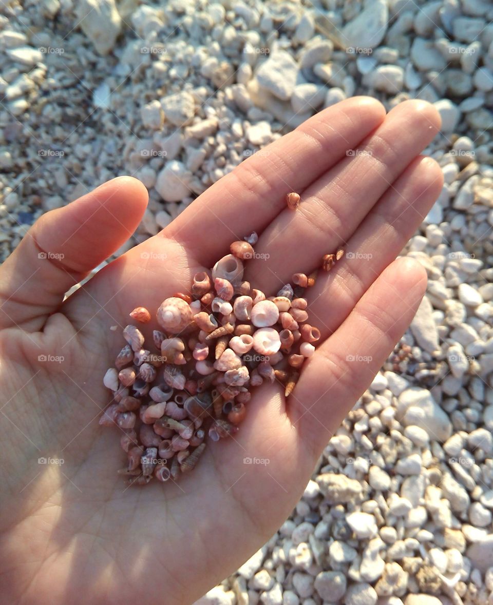 Nature, Beach, Sand, Outdoors, Closeup