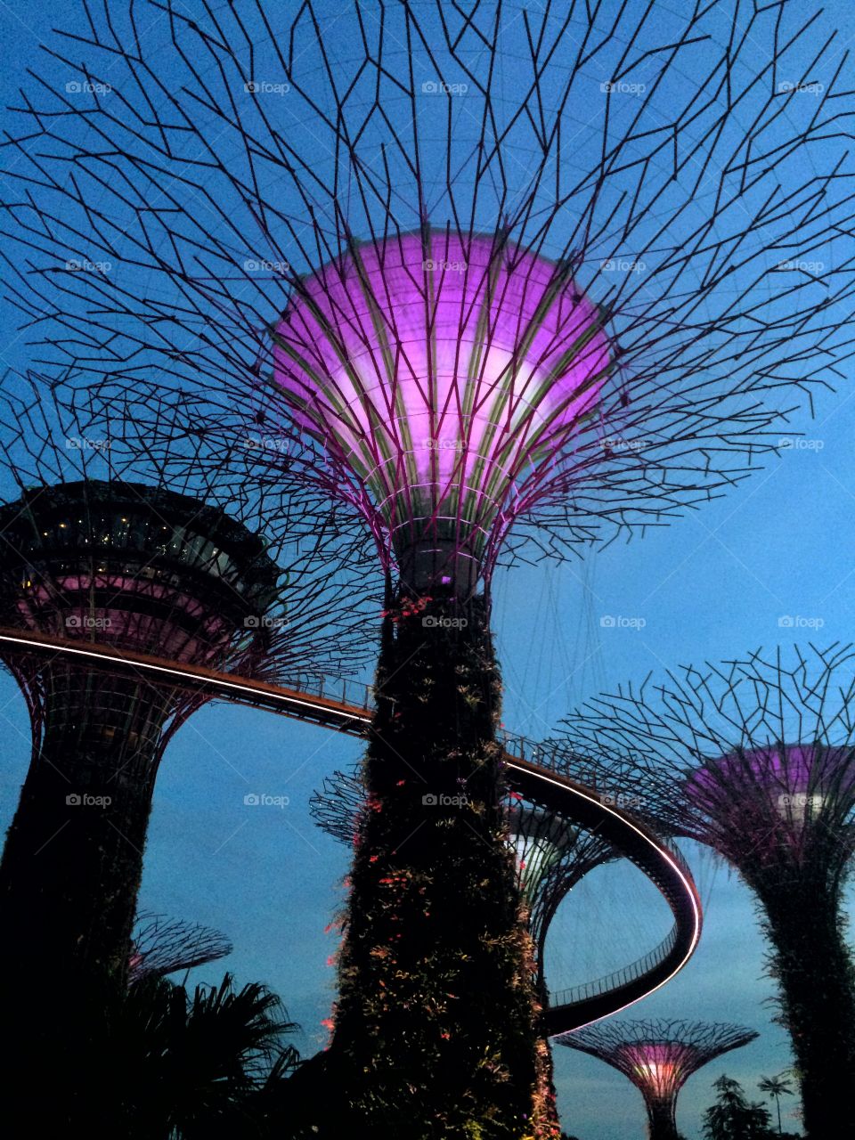 Giant trees at night in Singapore