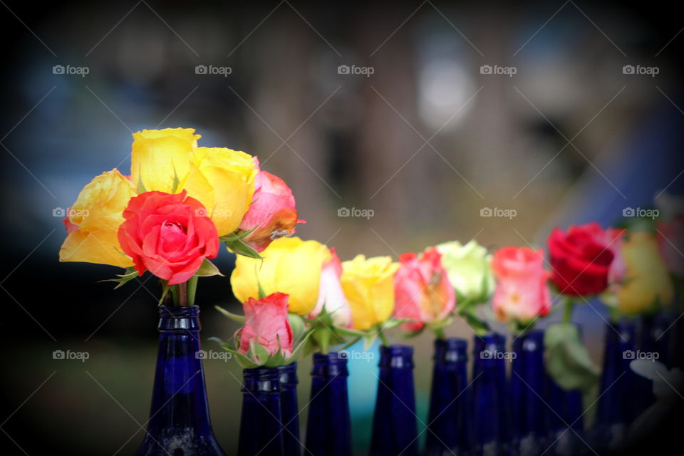 This is a picture of beautiful rose flowers of different colors in a row in pretty blue vases.