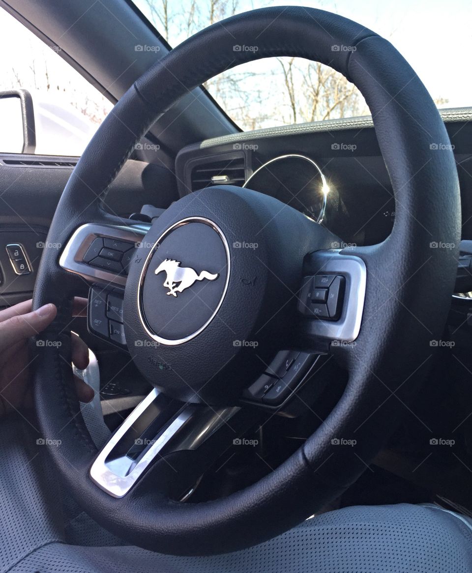 Mustang steering wheel