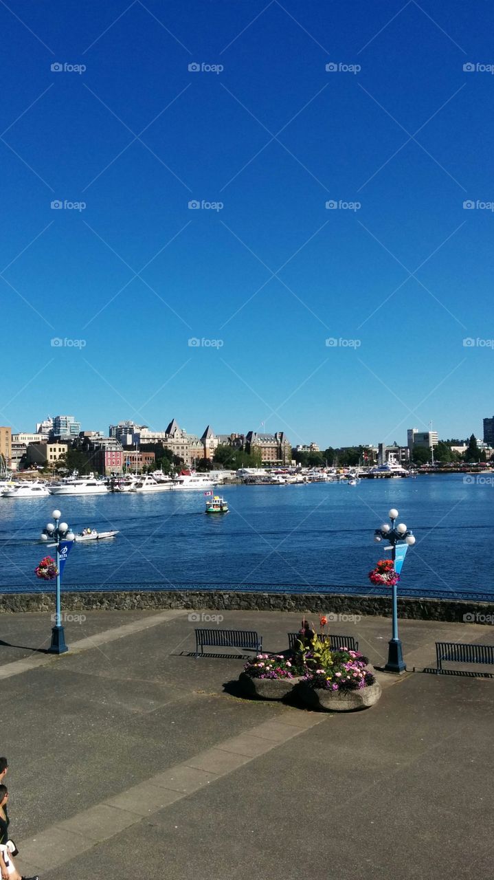 Victoria's Inner Harbour. The view of the inner harbour from Lure patio at the Delta