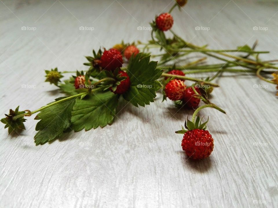 Freshly cut wild strawberries