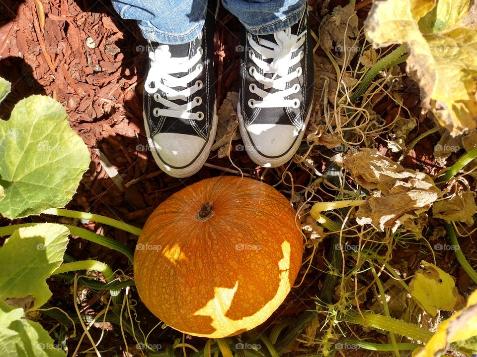 Standing in the Pumpkin Patch