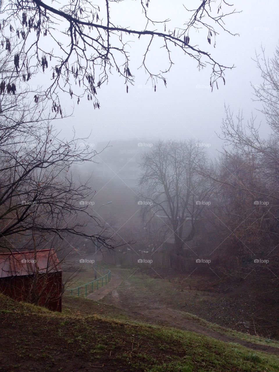 Foggy day from the hills of the city 