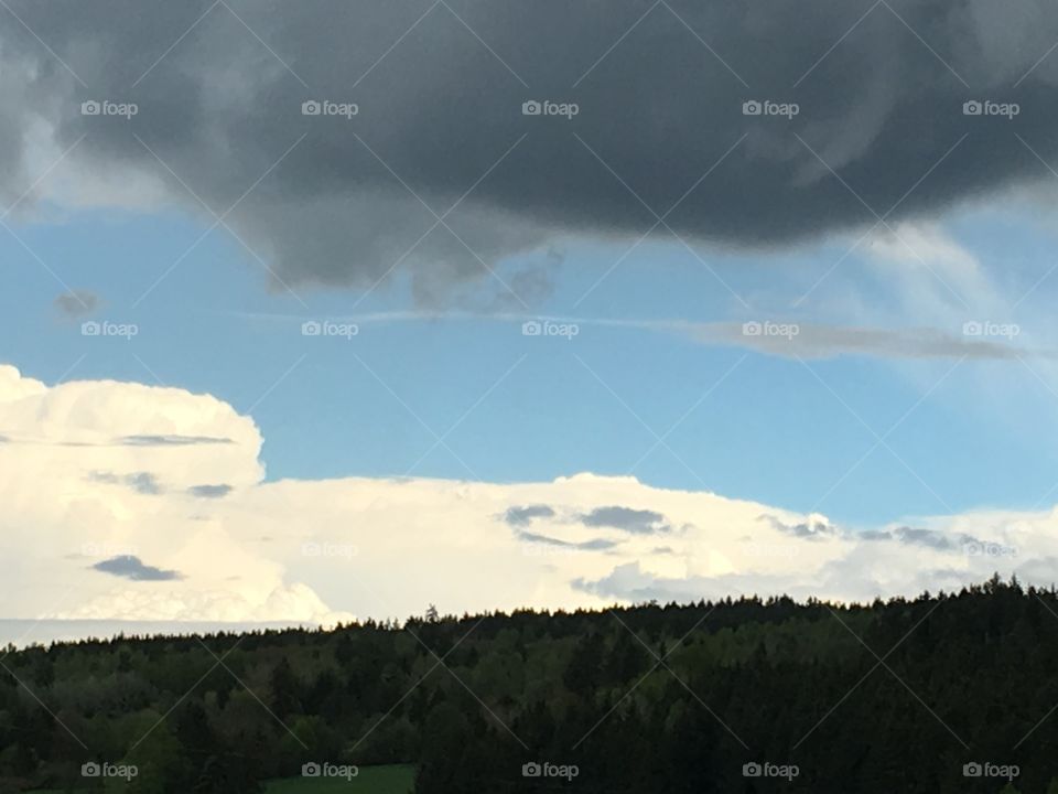 Forest and sky