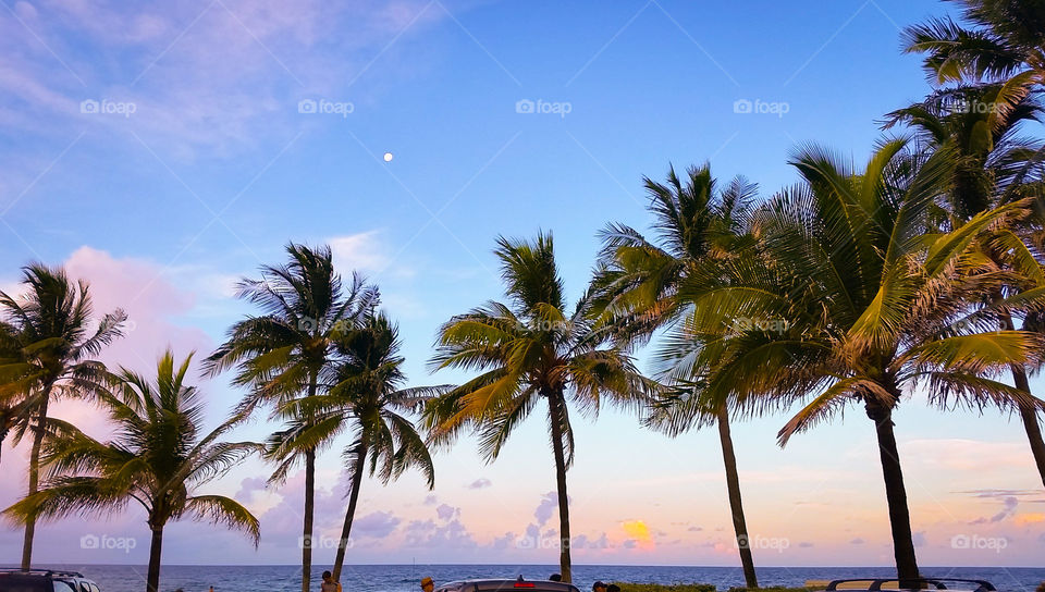 Tropical, Beach, Sand, Sun, Summer