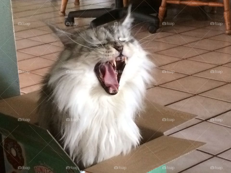 nsgarrett. MalloyBoy 