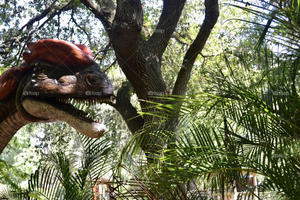 An off-centered closeup of a dinosaur head with trees in the background 