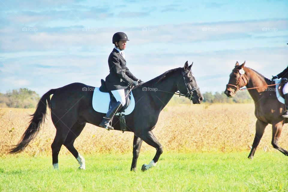 Horse show. A black horse and a brown horse prepare to pass beside each other during a dressage show 
