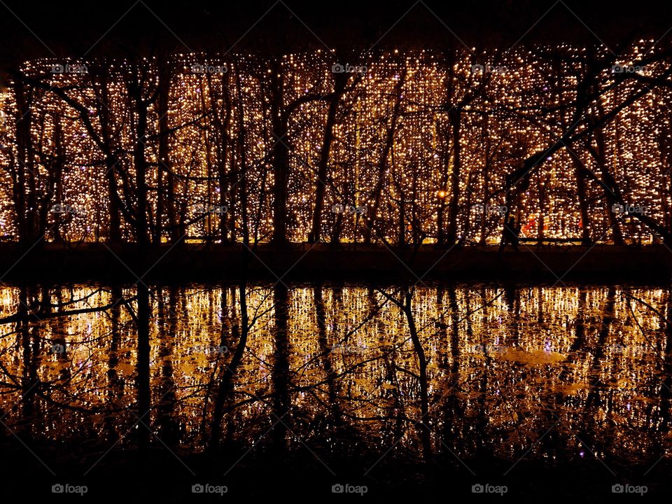 Illuminated light reflecting on lake