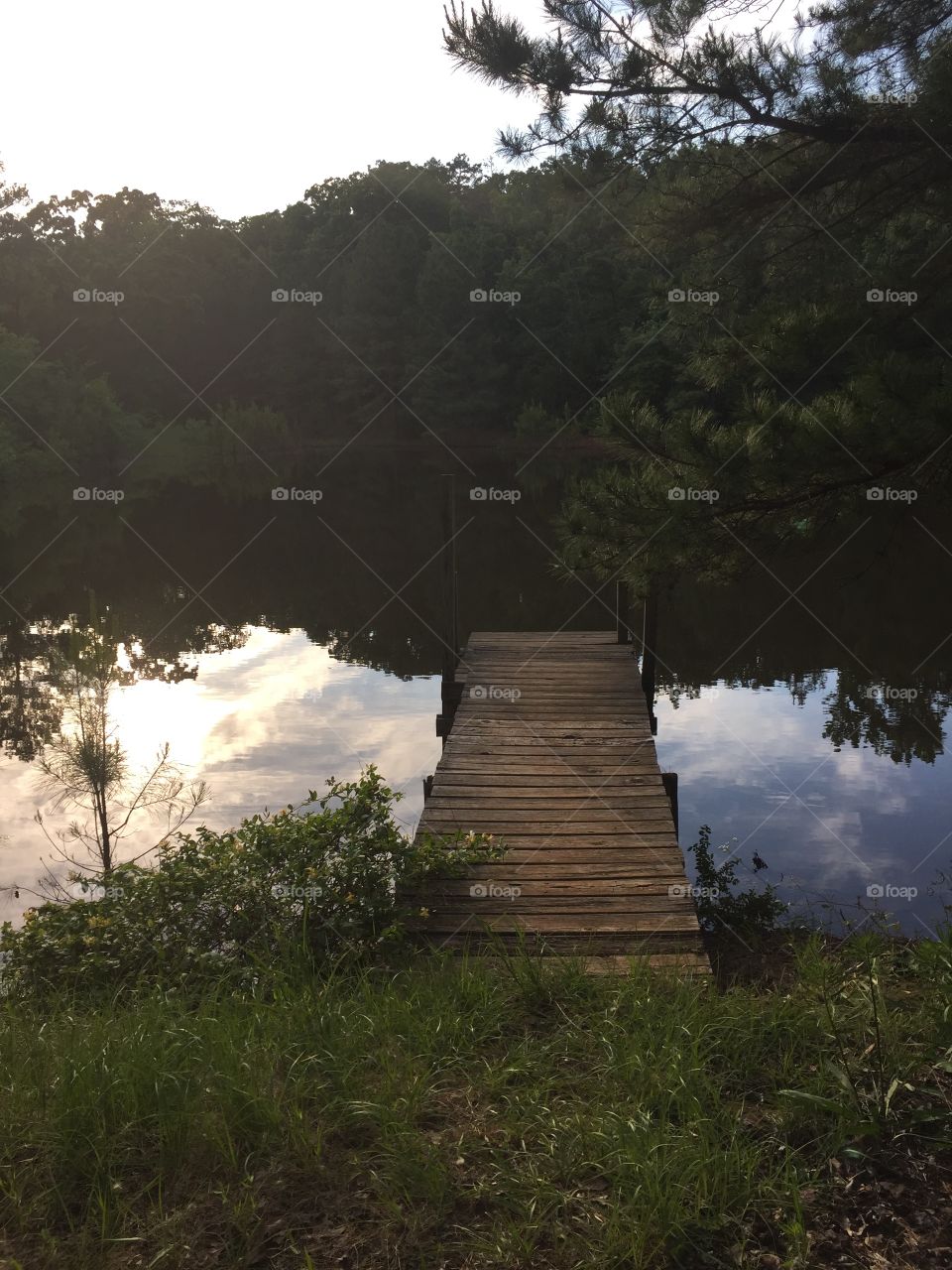 dock, pond, nature, reflection, trees