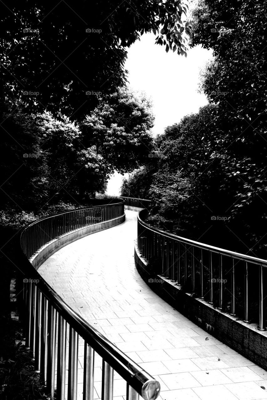 curvy road. A curvy road in the pudong area of Shanghai, China.