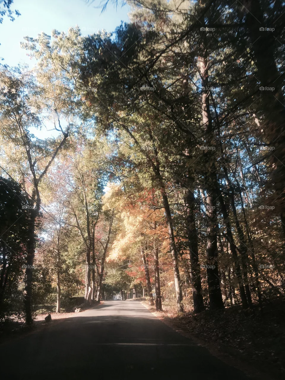 Fall 
