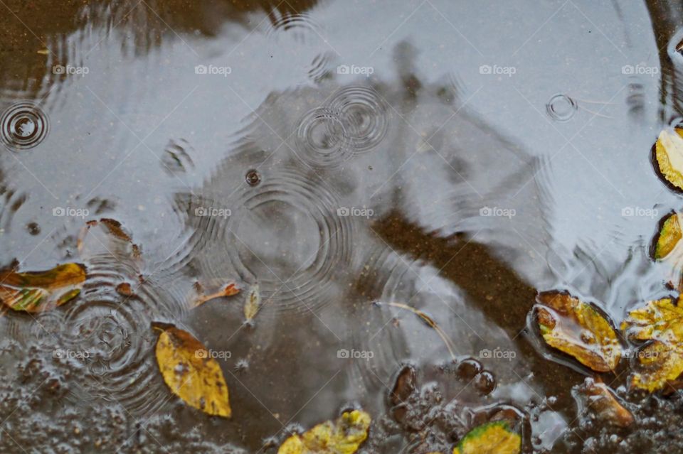 Reflection of an umbrella in a puddle in autumn