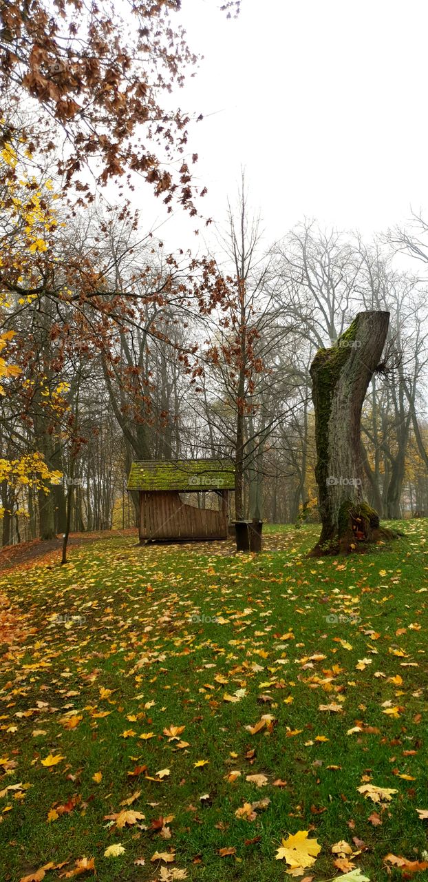 travel to Raudone, Lithuania