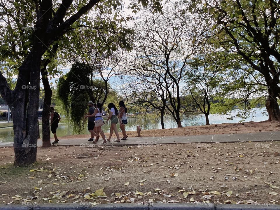 people walking in the street