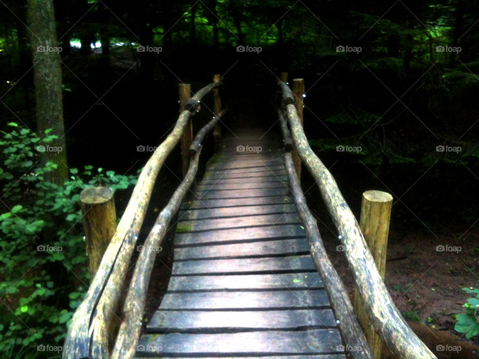 forest bridge wooden by dragosgsx