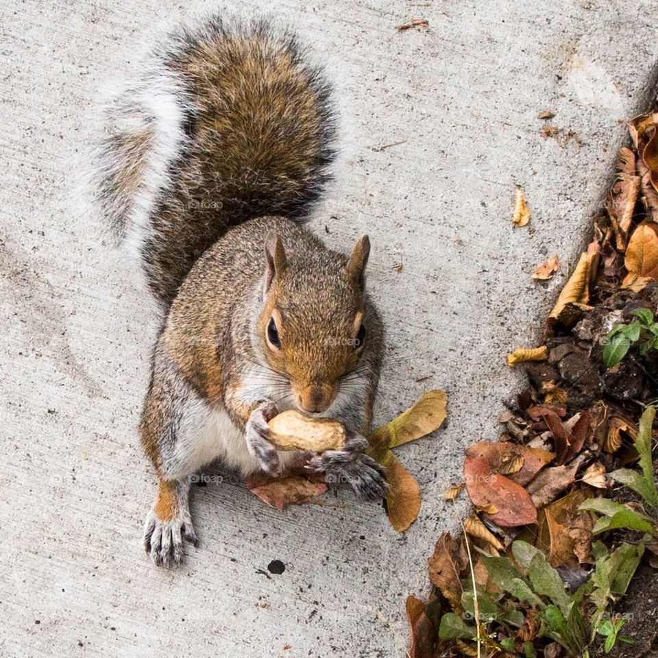 Snacktime