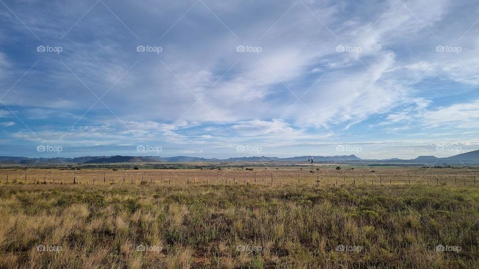 early morning landscape. karoo South Africa.