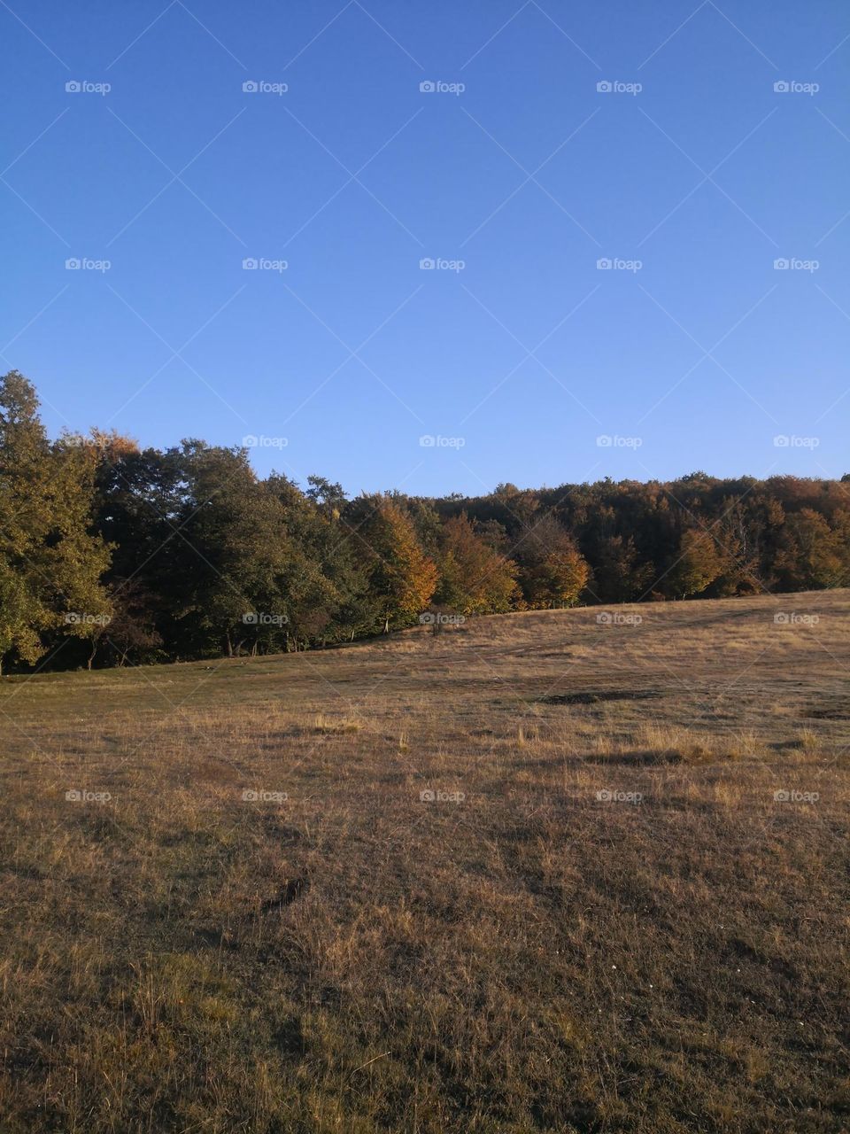 Autum nice.... 🍂🍁