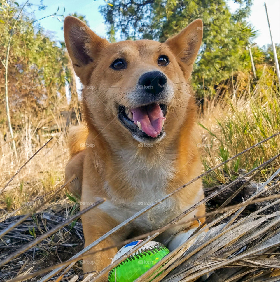 playing ball