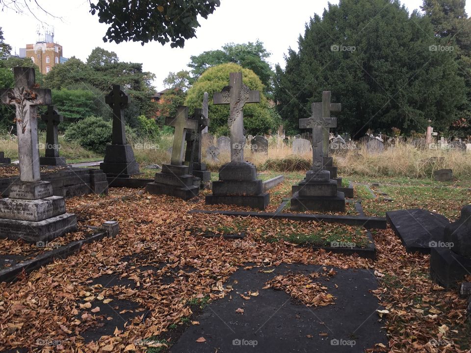 Brompton cemetery 